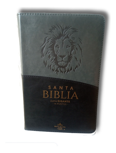 Biblia Rvr60 Letra Gte 14 Pts Negro/gris Leon C/c Caballero 
