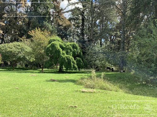 Campo Mixto En Venta De 228 Has Sobre Ruta 29 -en Brandsen