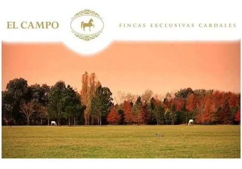 Imagen 7 de 13 de El Campo Cardales Terreno