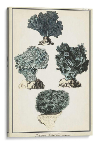 Canvas Lab Cuadro Especies De Coral I 60x90, Vision Studio