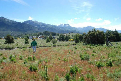 Imagen 5 de 7 de Fabienne Edelberg Fe Propiedades Venta Oportunidad Lote Venta Meliquina Mza O1 1000 M2