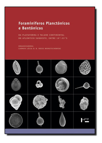 Foraminíferos Planctônicos E Bentônicos: Da Plataforma E, De Carmen Lucia D. B. Rossi. Editora Edusp, Capa Mole Em Português