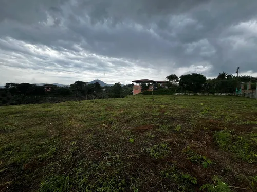 Lote En Venta Via Condina/pereira (279057451).