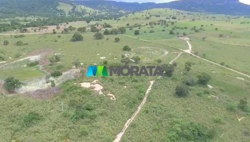Imagem 5 de 6 de Fazenda - Zona Rural - Ref: 5483 - V-mta5483