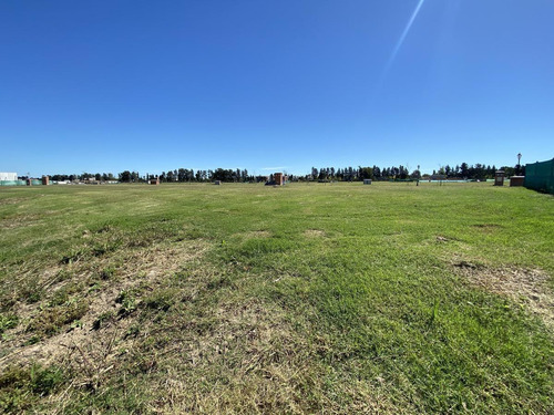 Imagen 9 de 12 de ¡oportunidad! Lote A La Laguna - Santa Ana Villanueva - Tigre - 638 M2 - Apto Para Construir Ya!