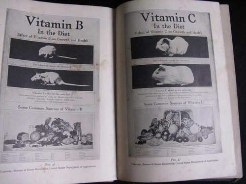 Mercurio Peruano: Libro Alimentacion Diaria Nutricion   L11