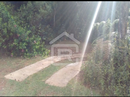 Imagem 28 de 30 de Lindo Sitio Com Uma Maravilhosa Vista No Alto Do Morro Tendo Uma Linda Vista Para O Pôr Do Sol - 113 - 69319003