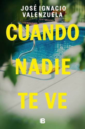 Cuando Nadie Te Ve, De Jose Ignacio Valenzuela. Editorial B, Editorial, Tapa Blanda En Español