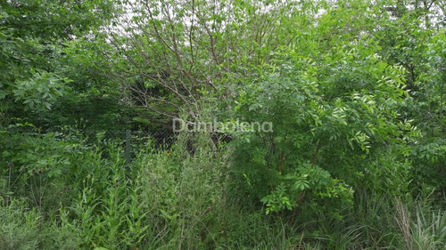 Imagen 2 de 7 de Terreno Lote En Venta Ubicado En General Rodríguez, G.b.a. Zona Oeste