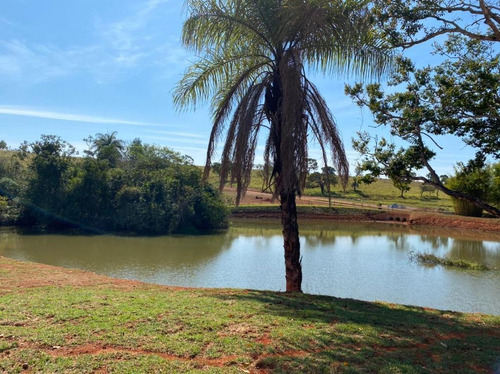 Imagem 6 de 7 de Lote Para Comprar No Zona Rural Em Funilândia/mg - 1639