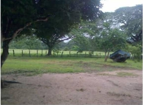 Imagen 7 de 14 de Finca En Venta En Edo. Barinas, Arismendi
