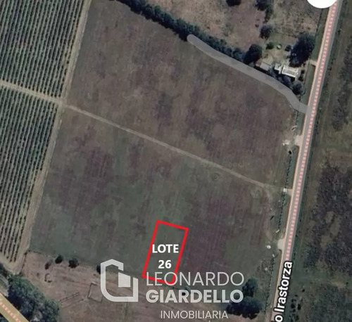 Venta - Terreno - Lote 26 - Carmelo - Barrio Viñas De Carmelo