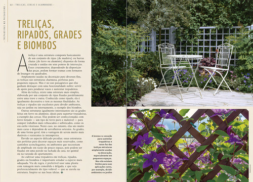 Trepadeiras no Paisagismo: Treliças, Cercas e Alambrados, de Romahn, Valerio. Editorial Editora Europa, capa mole em português, 2021