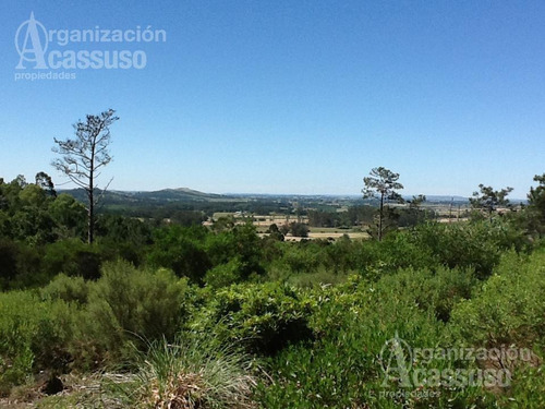 Imagen 11 de 19 de Punta Del Este - Chacra Venta Usd 1.100.000