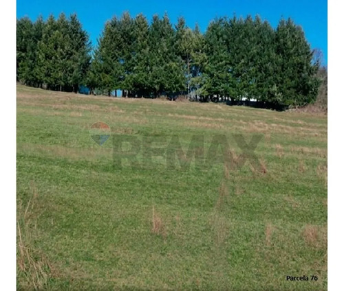 Terrenos 5.000 M² Cerca De Corralco, Curacautín.