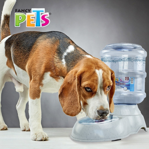 Imagen 5 de 6 de Bebedero Dispensador De Agua Para Perro O Gato 3.8 Litros