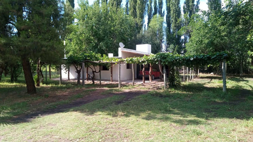 Finca Productiva En San Rafael, Mendoza