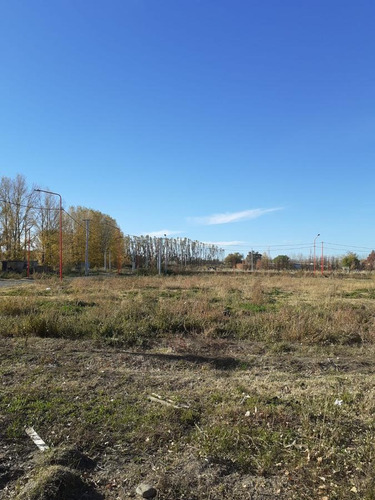 Imagen 5 de 9 de Terreno - Vista Alegre Sur