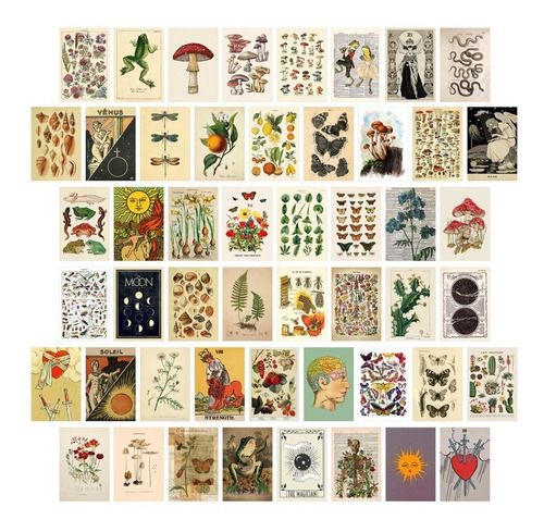 50 Piezas Vintage Botanical Tarot Kit De Collage De Pared Es