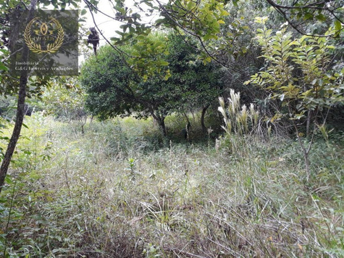 Imagem 4 de 12 de Terreno À Venda, 3283 M² Por R$ 160.000,00 - Planalto - Viamão/rs - Te0143