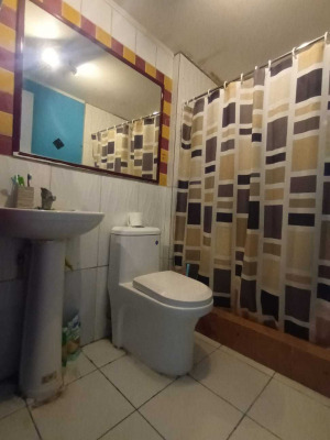 Casa En Venta Con Local Comercial Comuna Puente Alto