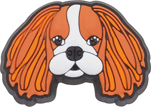 Accesorios Para Crocs De Pvc 1 Pcs. King Charles Cavalier