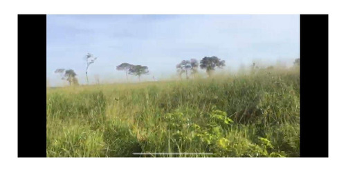 Imagem 18 de 22 de Fazenda 1958 Hectares, Planta 1500 Hectares, Rica Em Água Com Rios, Açudes, Casas, Curral, Galpões, Poços Artesianos, Terra Fértil - Fa00237 - 70701334