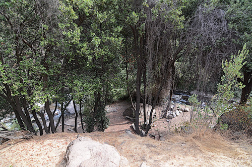Terreno Único En Condominio