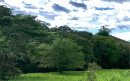 Se Vende Finca En Viotá Cundinamarca