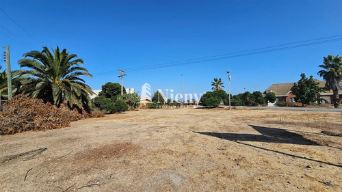 Industrial En Venta En Concón