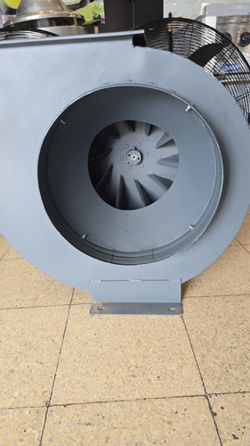 Extractor Centrífugo Industrial Caracol 2 Hp Trifasico