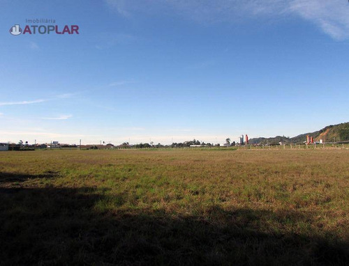 Imagem 7 de 10 de Terreno À Venda, 53021 M² Por R$ 23.330.000,00 - Canhanduba - Itajaí/sc - Te0107