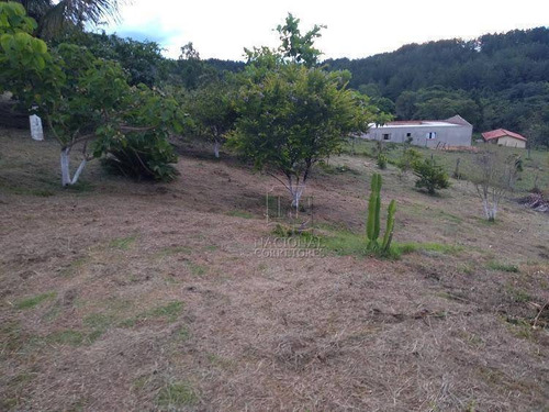 Imagem 17 de 19 de Chácara Com 4 Dormitórios À Venda, 20000 M² Por R$ 456.000,00 - Campo Alegre Iv - Bofete/sp - Ch0021