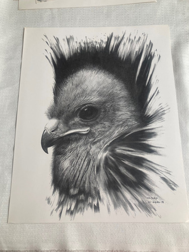 Divertimentos, Cinco Dibujos De Rafael Cauduro (Usado)