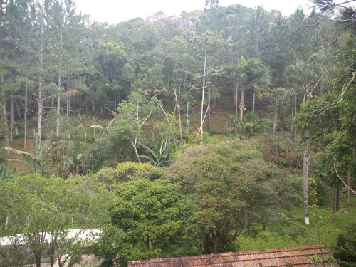 Imagem 24 de 28 de Chácara Para Moradia À Venda Em Juquitiba. - 129 - 33414991