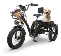 Comprar Honey Whale S13 Triciclo Eléctrico P\u002Fadultos HONEYWHALE Bicicleta Electric Motor 800W-MAX Velocidad Máxima de 40km\u002Fh Batería 15AH Autonomía Máxima 45km Color Negro