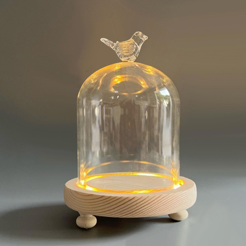 Cristal Transparente Cloche Dome Showcase 9x11cm Pájaro