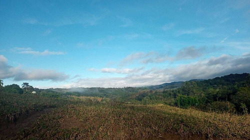 Imagem 13 de 14 de 16- 800m A Venda Em Arujá - Santa Isabel