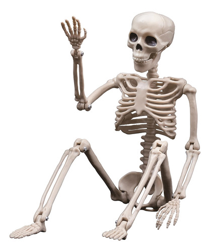 Decoraciones De Esqueletos De Halloween, Esqueleto De Plásti