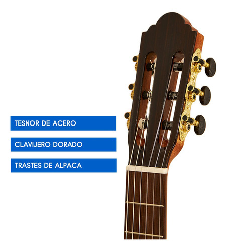 Guitarra Electrocriolla Rómulo García H-800 Ceq Tapa Solida