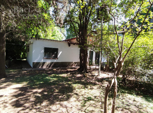 Quinta - Monte Grande