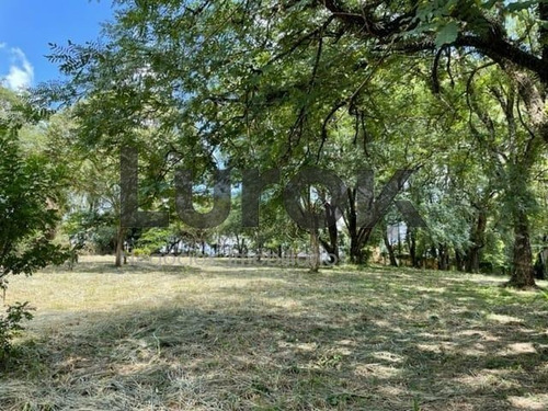 Imagem 8 de 10 de Terreno À Venda Em Vale Verde - Te006031