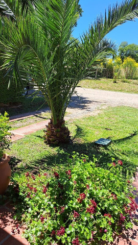 Imagen 23 de 23 de Casa Privada Familiar Con Pileta El Disfrute En Las Sierras De Tandil. Alquiler Temporario Enero Y Febrero