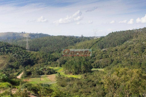 Imagem 8 de 19 de Chácara Com 2 Dormitórios À Venda, 8750 M² Por R$ 800.000,00 - Jardim Cumbica - Guarulhos/sp - Ch0048