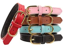 Comprar Aolove Collares Para Mascotas De Cuero Acolchado Clasico Br