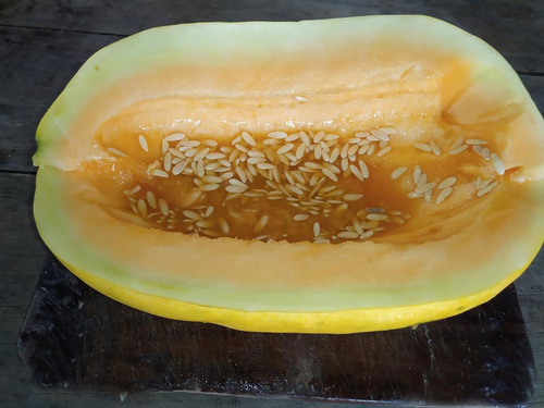 Mix 100 Semillas De Melón Sandía Criollos