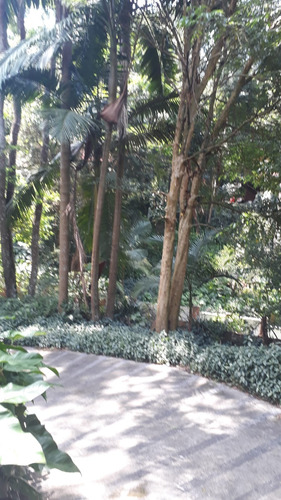 Imagem 3 de 30 de Embu Condomínio Do Bosque, Casa Com 4 Dormitórios Sendo 1 Suíte,3 Salas,útil De 400m² - Ca00198 - 70640268