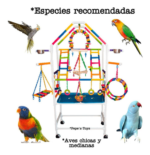 Casa,gim Pvc, Parque,centro Juego,juguetes Loros | Envío gratis