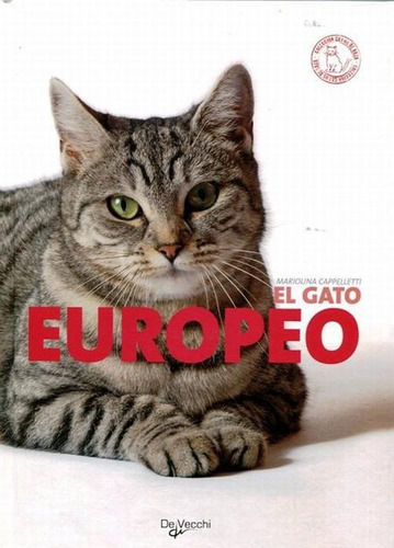 El Gato Europeo - Mariolina Cappelletti
