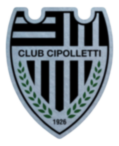 Parche Escudo Felpa Para Coser 6cm Set X4 Futbol Arg002 Cipolletti Cipolletti